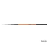 Delphin INFERNO Pole 5m