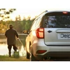 Delphin CARP 3D matrica fekete fekete