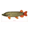 Delphin PIKY Plüss Csuka 60 cm