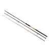 Bot Carp Expert Silver Carp Power Float 3.9M 70-120g