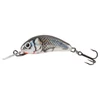 Salmo Wobbler Hornet H3F Sws
