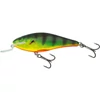 Salmo Wobbler Executor Iex9Sr Rhp