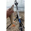 By Döme TF Big River 300 RXH 100-250gr