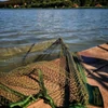 Carp Academy Bojlis Merítőfej 100x100 (fekete)