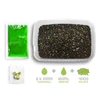 Pellet box Delphin Reaxe READY&GO Fokhagyma–Vajsav / 400g