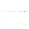 Delphin ENERGY Catfish 280cm/250-500g/2 rész