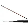 Carp Expert Evolution Power Pole 6M