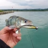 Reiva Ultra Strong Jig Head 6/0 28g  3db/cs