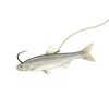 Nevis Zander Strong 2 5db/cs