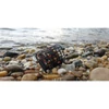 Nevis River Feeder kosár 50g