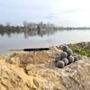 SP022063_5