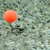 Stég Upters Method Ball Sausage 6-8mm 10db/dob.