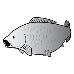 Delphin Öntapadó ponty SILVER