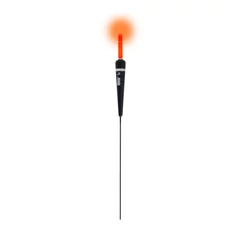 Ibite Carrot 1G
