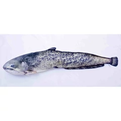Halas Párna Harcsa 115cm