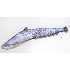 Halas Párna Harcsa Baby 62cm