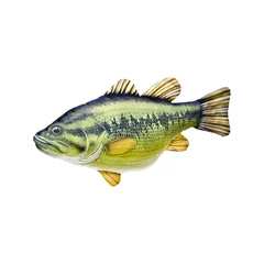 Halas Párna Fekete Sügér 67cm