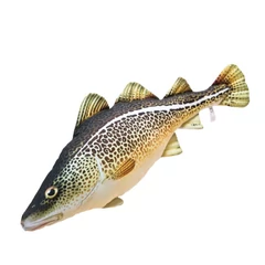 Pillow The Atlantic Cod 75cm