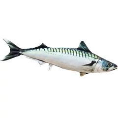 Pillow The Atlantic Mackerel 60cm