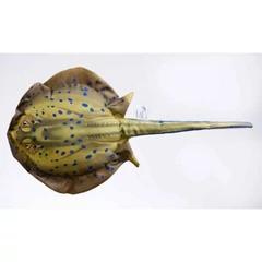 Pillow The Bluespotted Stingray 85cm