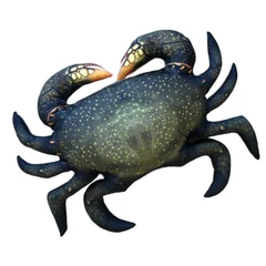 Pillow The Mud Crab 60cm