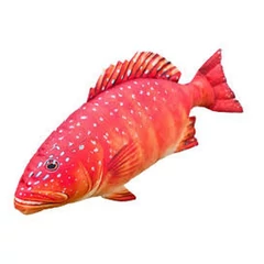 Pillow The Coral Trout 81cm