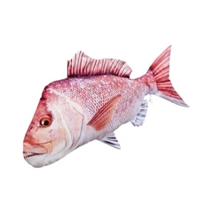Pillow The Snapper 102cm