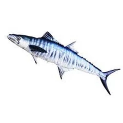 Pillow The Mackerel Spanish 102cm