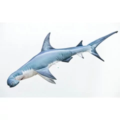Pillow Thegreat Hammerhead Shark 110cm