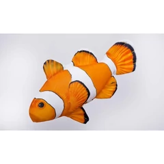 Pillow The Monster Ocellaris Clownfish 180cm