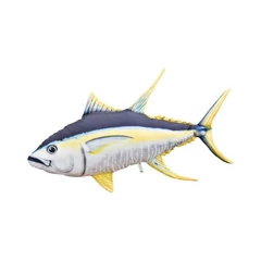 Pillow The Monster Yellowfin Tuna 160cm