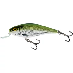 Salmo Wobbler Executor Iex9Sr Olb