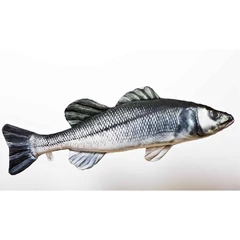 Pillow The European Sea Bass 70cm
