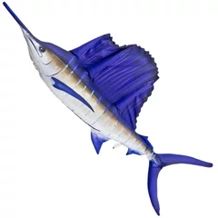 Pillow The Sailfish – New 118cm