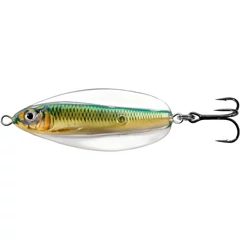 Livetarget Erratic Shiner Spoongold/Green70 mm 21g