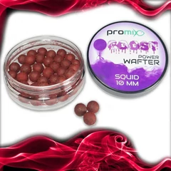 Promixgoost Power Wafter Squid 10mm