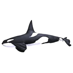 Pillow The Orca 51cm