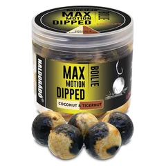 Haldorádó Max Motion Boilie Dipped 20 mm - Kókusz &amp; Tigrismogyoró