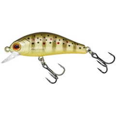 GUNKI Rodan 4cm SHW Wild Trout