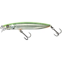 Illex Hagre Minnow 9,6cm F RT Visible Roach