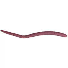 Illex Flick Shake 12cm 500 Light Earthworm 8db