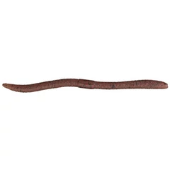 Illex Flick Shake 12cm 500 Ebimiso Red Flakes 8db