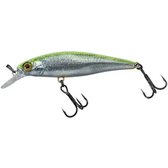 Illex Squad Minnow 6,5cm SP RT Visible Roach