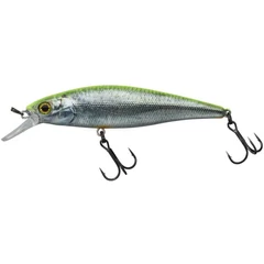 Illex Squad Minnow 9,5cm SP RT Visible Roach