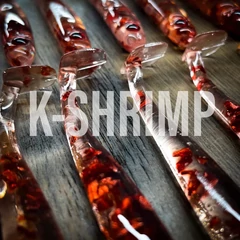 Just Fish Baits Kitara SR K-Silver