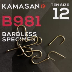 Kamasan B981 10-es szakáll nélküli horog