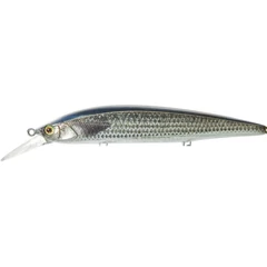 ILLEX Rerange 13cm SP RT Mullet