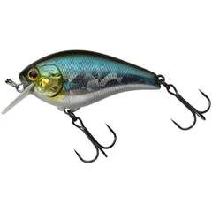 ILLEX Aska 6cm SR Aurora Bleak