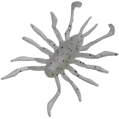 ILLEX RV Bug 3,8cm Sight Pearl White 8db