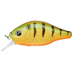 Gunki Dogora 10cm F Strass Perch